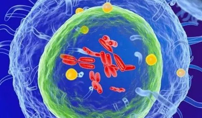  今年会助力 | 信诺维抗肿瘤1类新药XNW14010获批临床.png